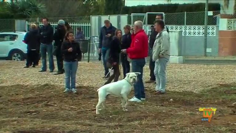 Parques con Área de Mascotas en La Nucía