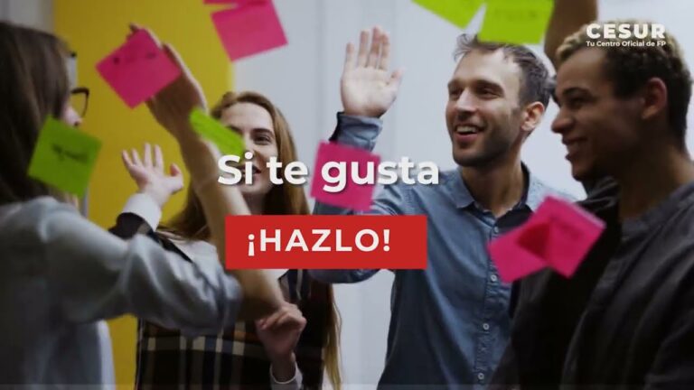 Guía para Solicitar una Beca para Estudiar en Villajoyosa
