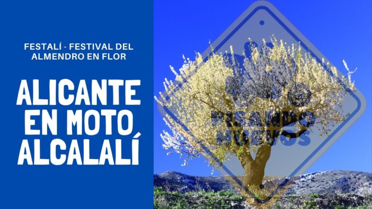 Gu&iacute;a Pr&aacute;ctica: C&oacute;mo Actuar ante una Multa en Guadalest