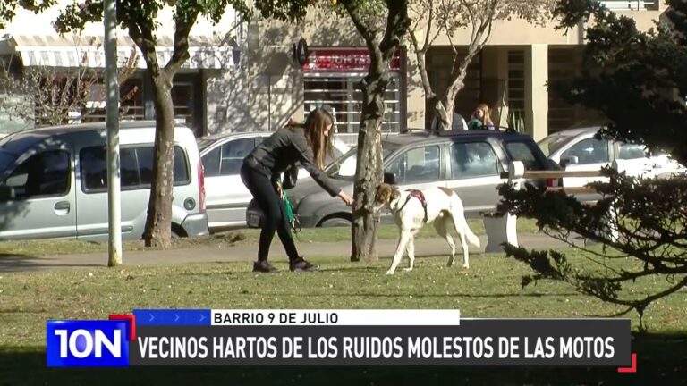 Gu&iacute;a para Denunciar Ruidos Molestos en Altea