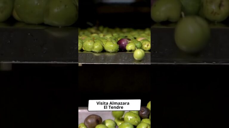 Descubre los Mercados Artesanales de Relleu