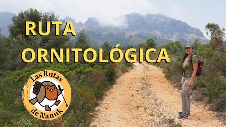 Rutas de Senderismo Imperdibles en Orxeta